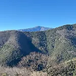 Le Chataignier